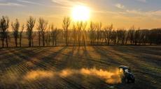 新華全媒+|吉林:秋糧收儲進(jìn)行時(shí) “翻地越冬”備明春