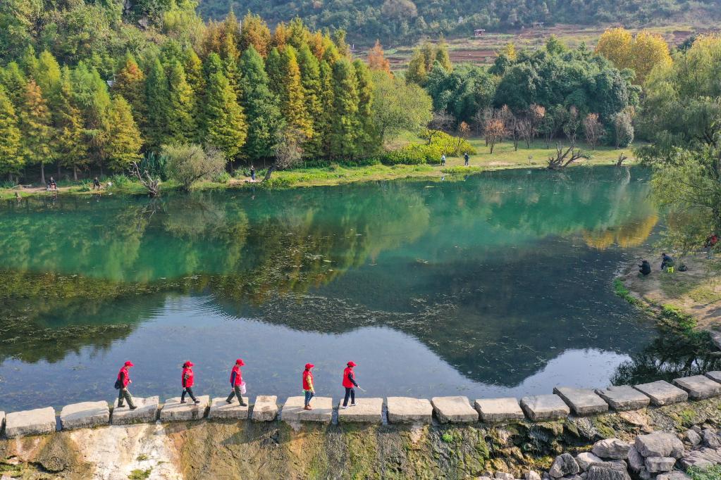新華全媒+|濕地上的“最美阿姨”