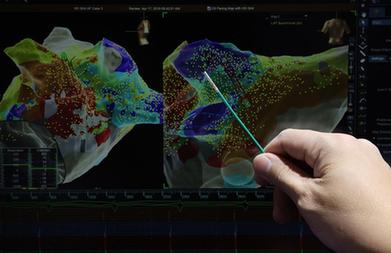 新華全媒+丨第五屆進(jìn)博會(huì )首發(fā)首展新品亮相