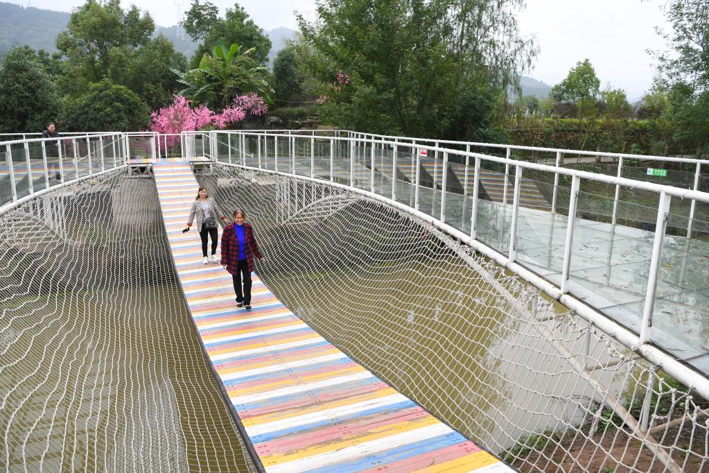 新華全媒＋丨重慶：人才下鄉激活產(chǎn)業(yè)振興“一池春水”