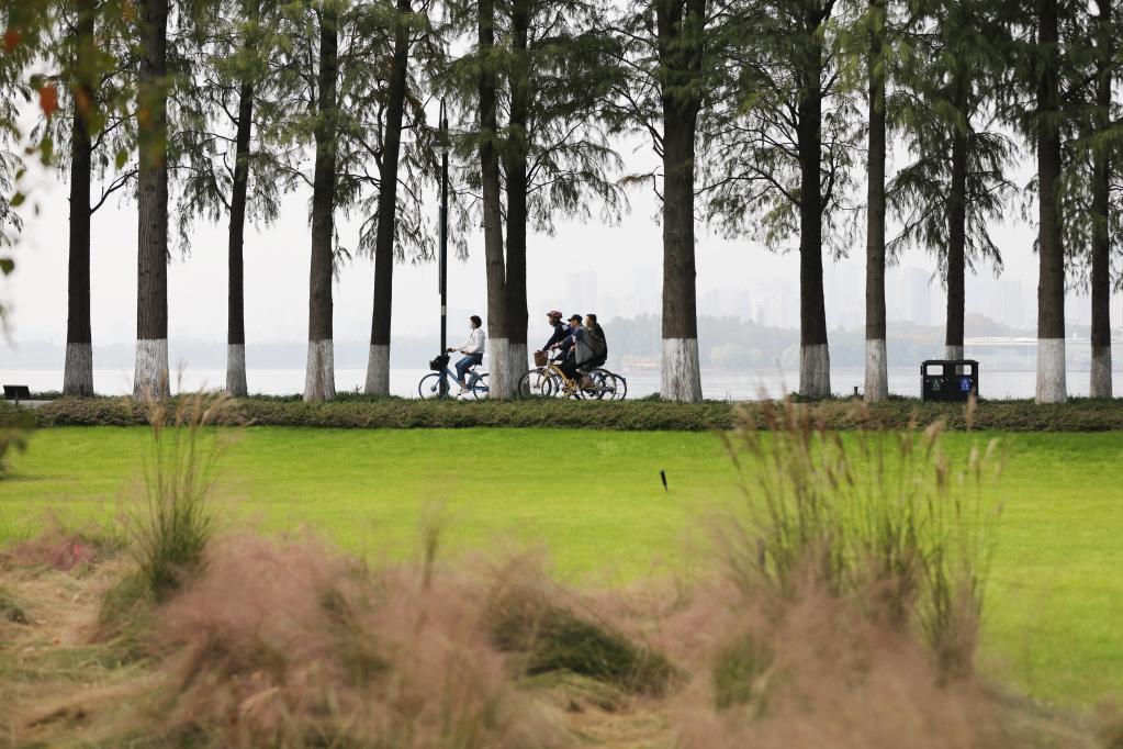 特稿:從濕地之美見(jiàn)證中國生態(tài)“密碼”啟迪世界