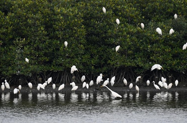 大美濕地城市丨?？? /></a></p>
<p class=