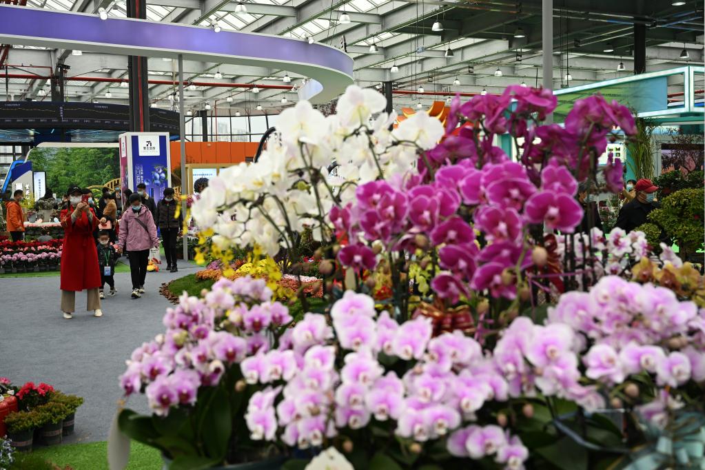 安徽合肥:“苗交會(huì )”引客來(lái)