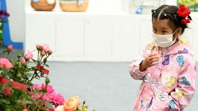 安徽合肥:“苗交會(huì )”引客來(lái)