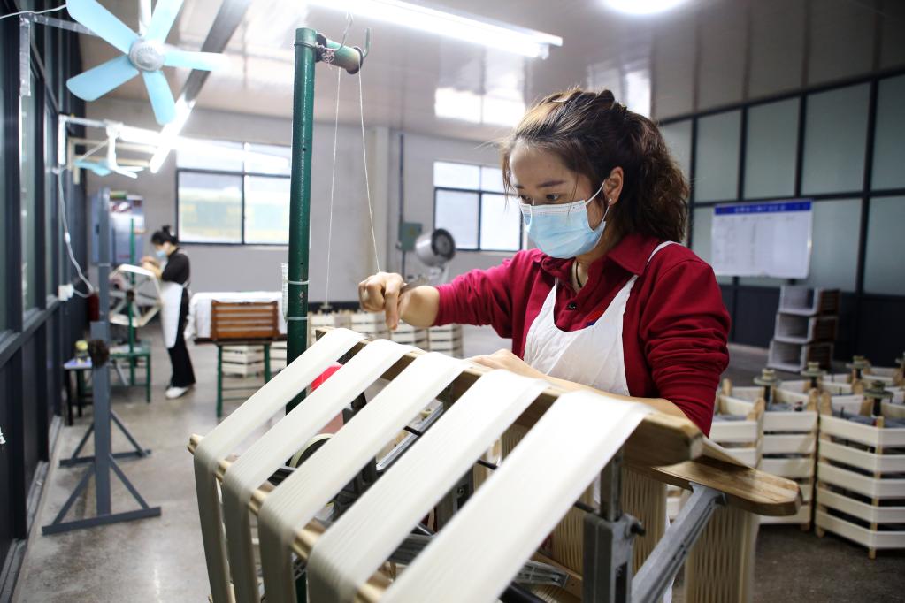 重慶黔江:發(fā)展蠶桑產(chǎn)業(yè) 助力鄉村振興