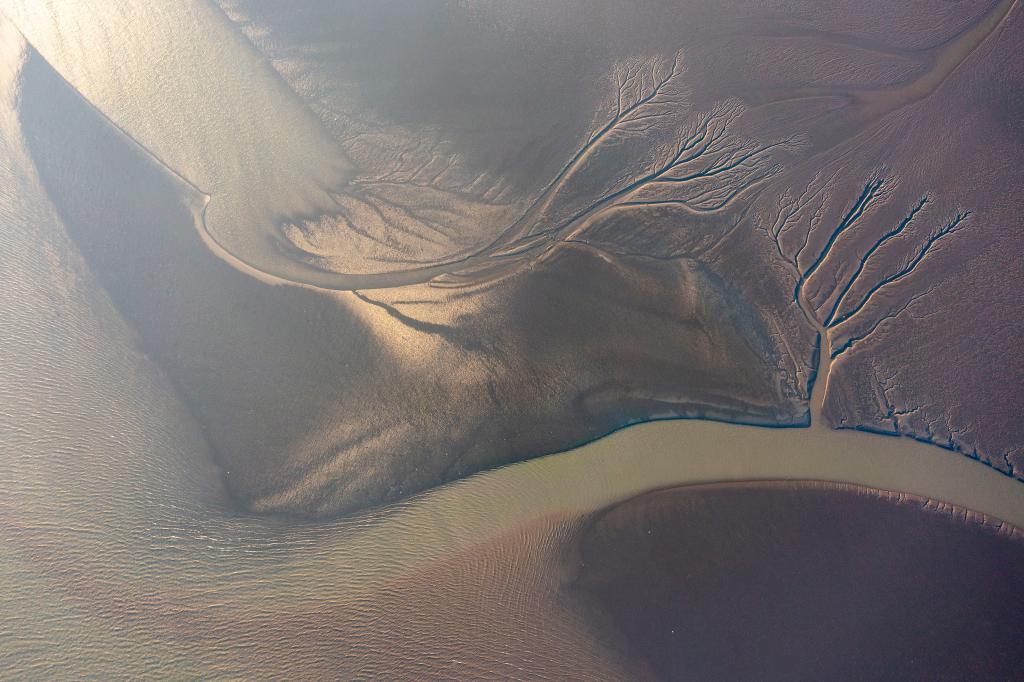 江蘇張家港:冬日江灘“潮汐樹(shù)”