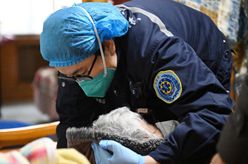 新華全媒+｜天津：與時(shí)間賽跑的120急救先鋒護佑急危重癥病人