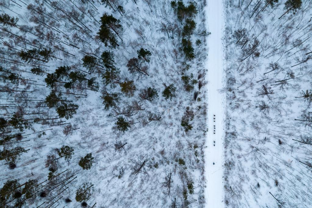 新華全媒+丨“失聯(lián)”一個(gè)多月，他們在林海守護生態(tài)屏障