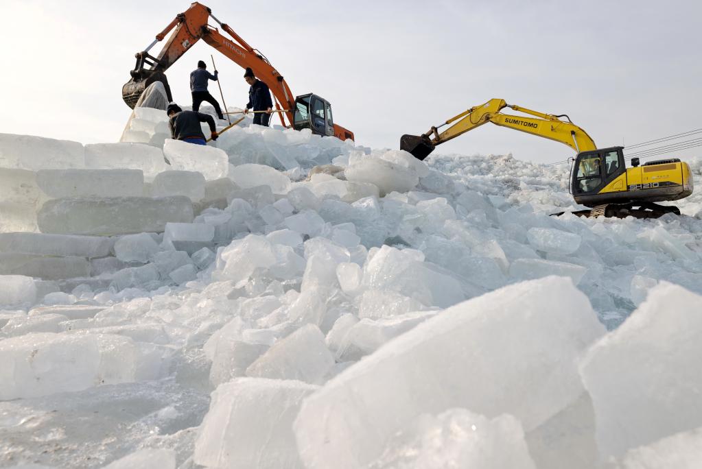 河北豐南:三九寒冬儲冰忙