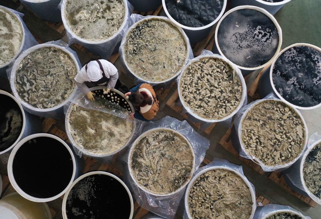 貴州三穗:開(kāi)足馬力生產(chǎn)加工年貨食品