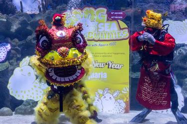 吉隆坡:水族館里賀新年