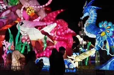 青島：賞新春燈會(huì ) 游奇幻“海洋”