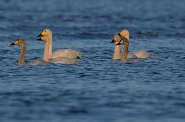 福建:感受濕地之美