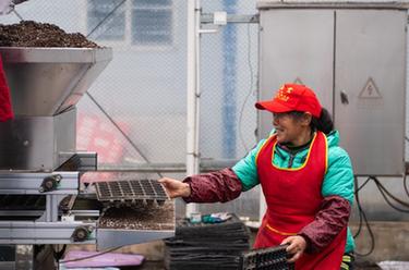 新華全媒+丨田間地頭的“黑科技”