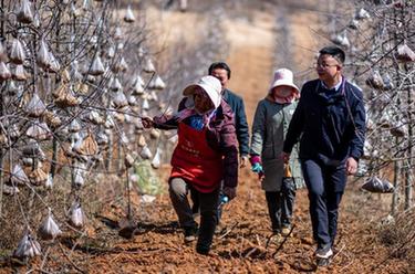 代表委員履職故事｜全國人大代表袁海波：“我是農民工，更懂農民工”