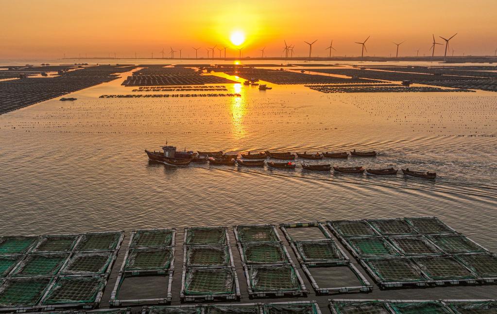 山東榮成:“海上田園”春耕忙