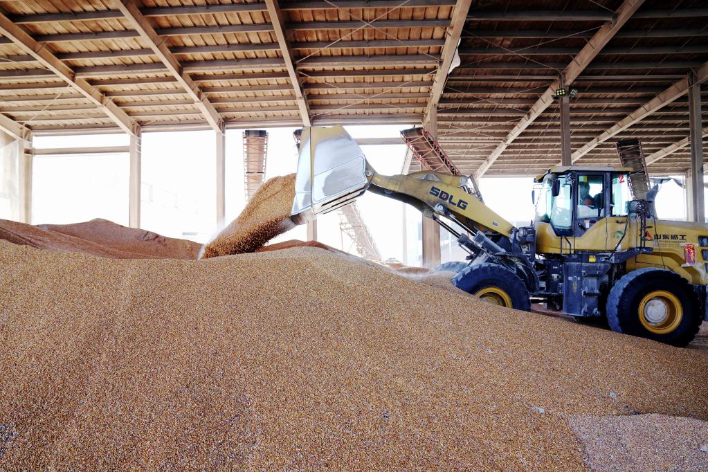 黑龍江樺南縣:企業(yè)忙生產(chǎn)