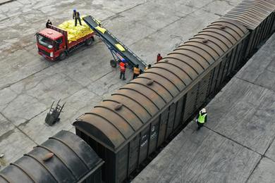 強信心·開(kāi)新局丨駛向田野的“春耕列車(chē)”