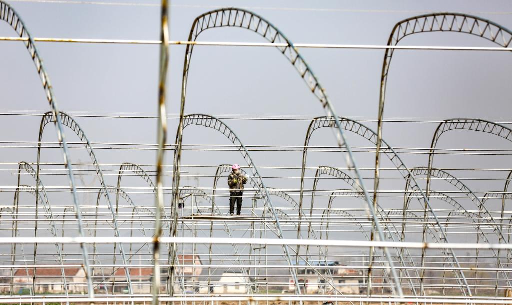 江西瑞昌:智慧大棚建設忙