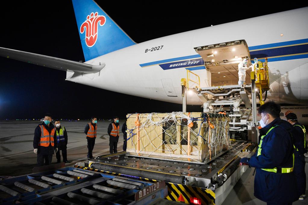 新華全媒+丨新西蘭“羊包機”助力拓展寧夏開(kāi)放“朋友圈”