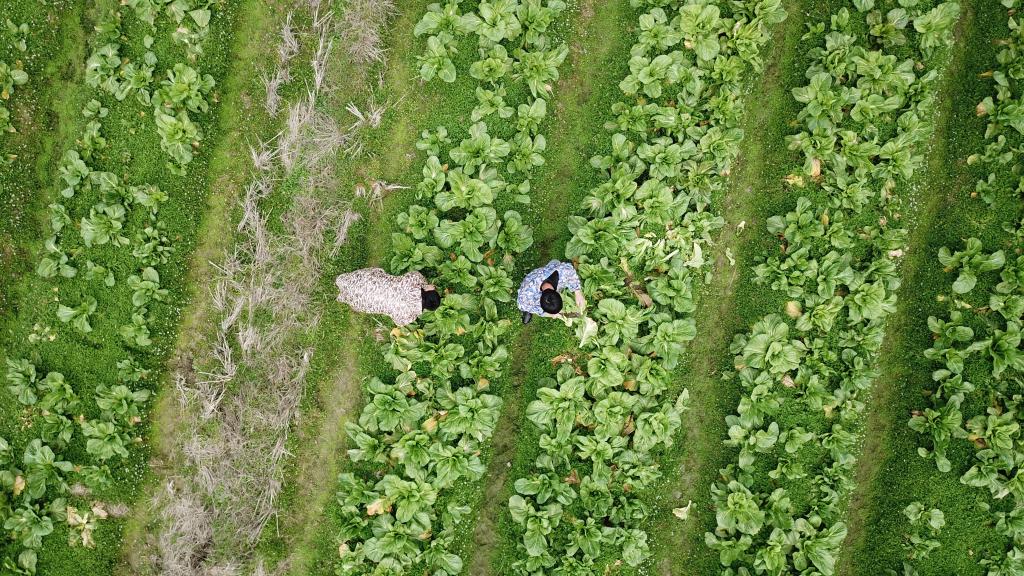 湖南瀏陽(yáng):預制菜產(chǎn)業(yè)加速發(fā)展