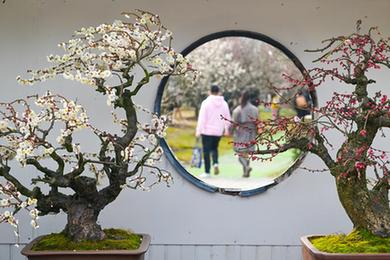 鏡觀(guān)中國·新華社國內新聞?wù)掌恢芫x