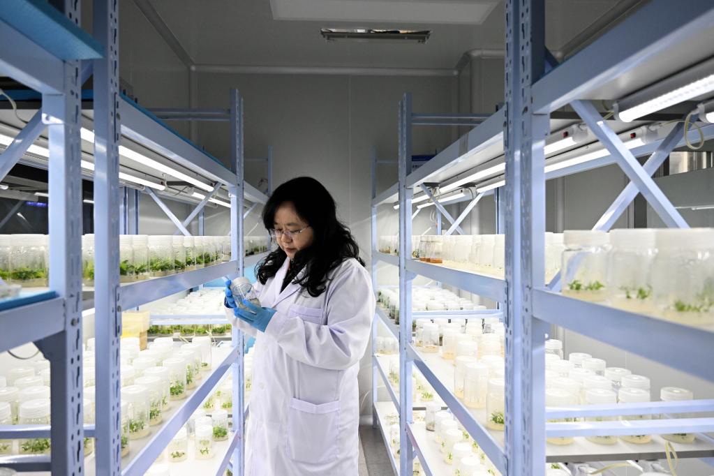 新華全媒+丨科學(xué)島上的創(chuàng )新“她力量”