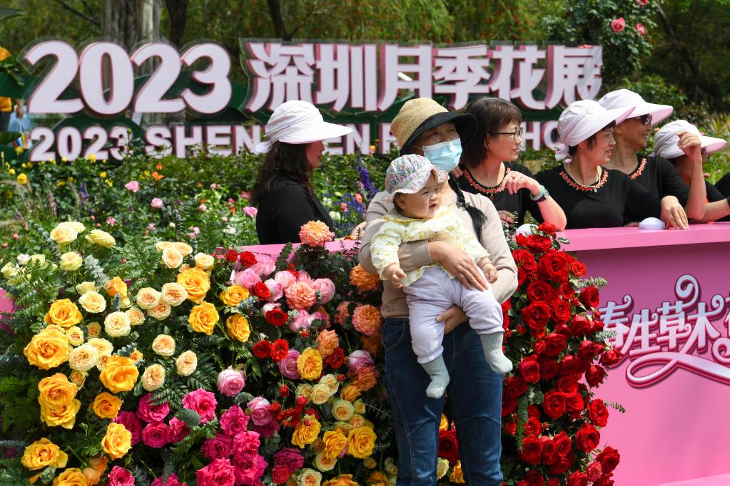 2023深圳月季花展開(kāi)幕
