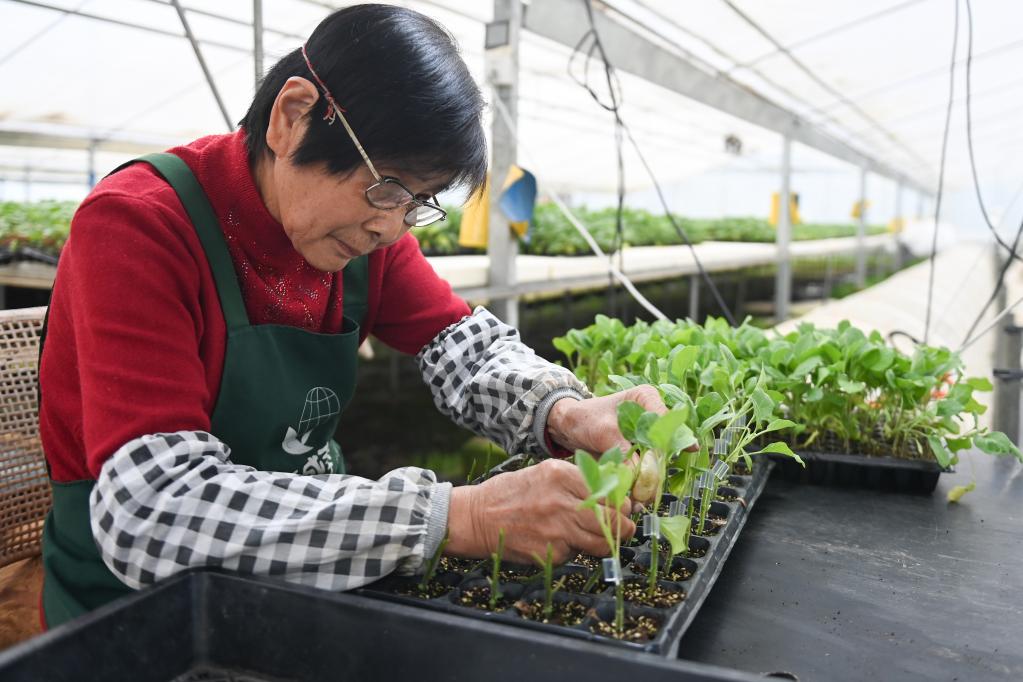 浙江：春耕備耕正當時(shí)