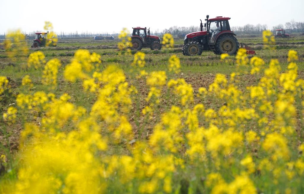 江西:春暖花開(kāi) 耕種正當時(shí)