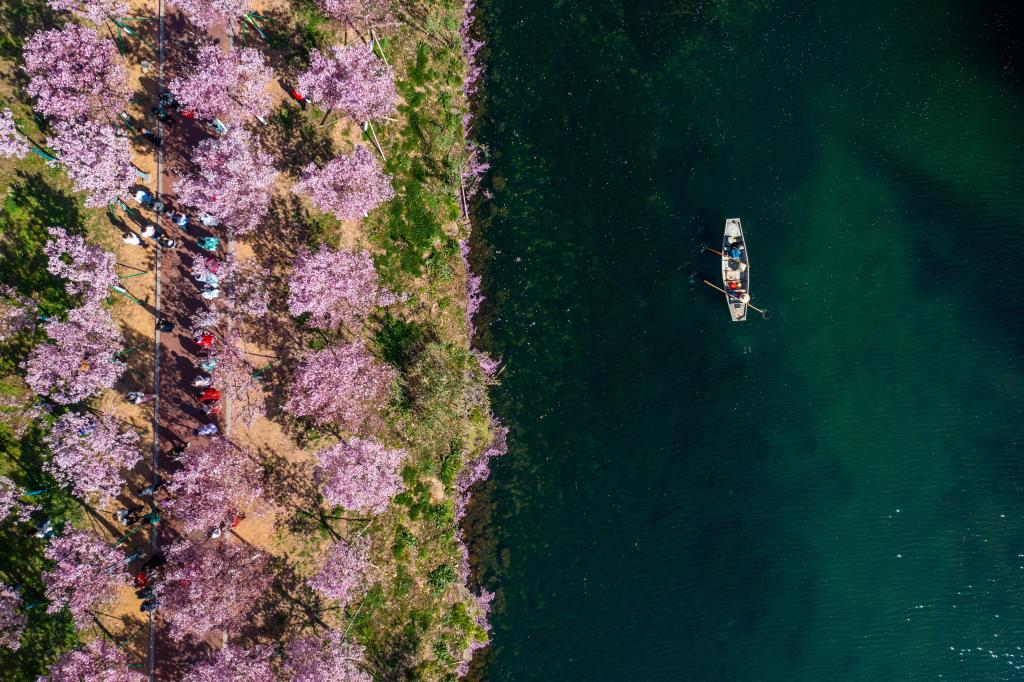 新華全媒+|浙江水環(huán)境治理成效顯著(zhù) 美麗河湖扮靚“詩(shī)畫(huà)江南”