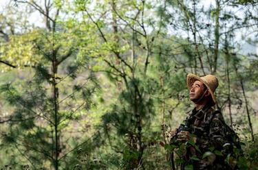 新華全媒+|大山里的綠色守護者陳華:堅守崗位十八載 只為青山滿(mǎn)眼綠