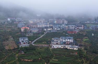 浙江富陽(yáng):鄉村人才“回流引流”助推美麗山鄉新業(yè)態(tài)發(fā)展