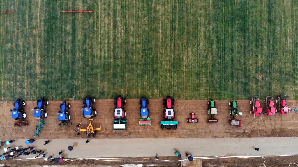 山東青島:“麥田課堂”授技能 “綠色增糧”保豐收