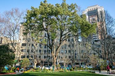 新華全媒+丨60秒！帶你“穿越”綠色上海