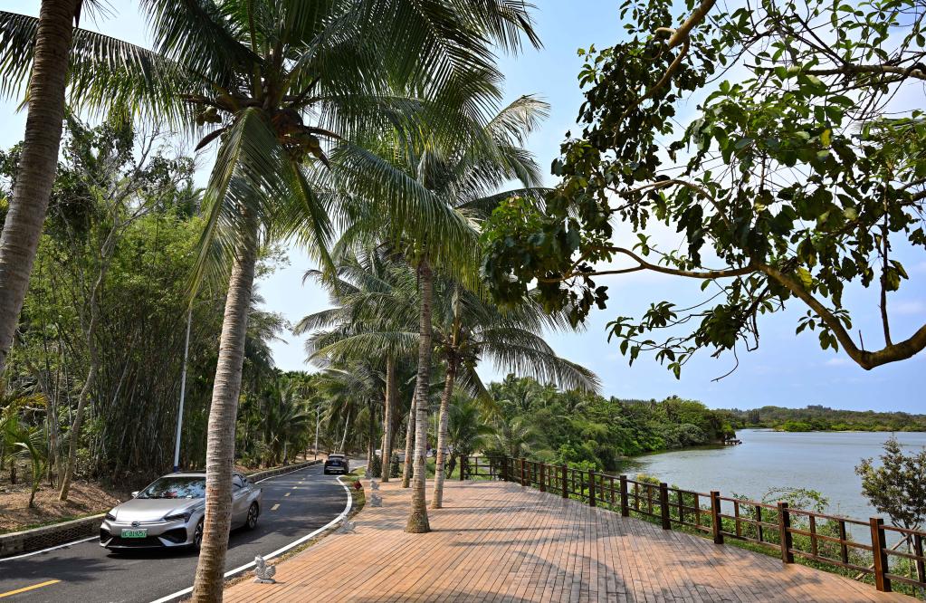 和美鄉村迎盛會(huì )