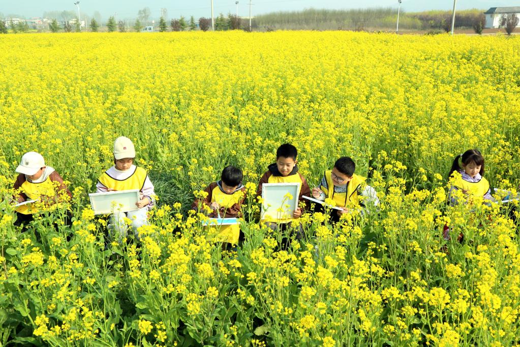 河南汝陽(yáng):鐵頂山下花芬芳