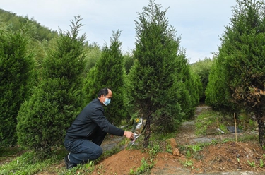 浙江湖州:倡導文明祭掃