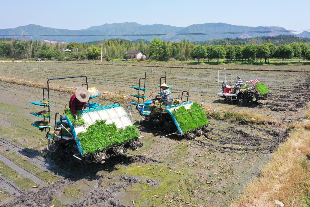 福建浦城:全程機械化為再生稻春耕春種按下“快進(jìn)鍵”