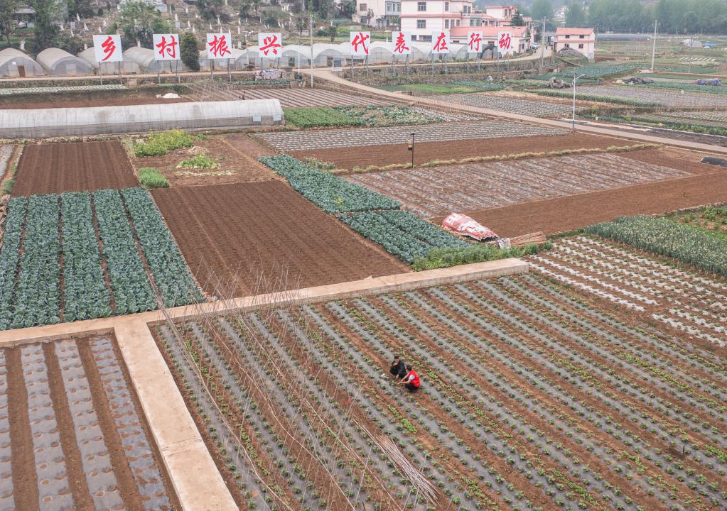 貴州:農技下鄉促春耕