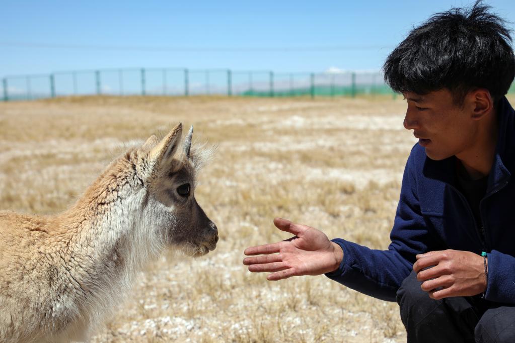 青?？煽晌骼铮罕痪戎亓缪蛴揍套聣殉砷L(cháng)