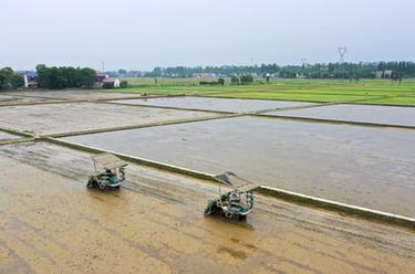 湖南益陽(yáng):機械化助力春耕