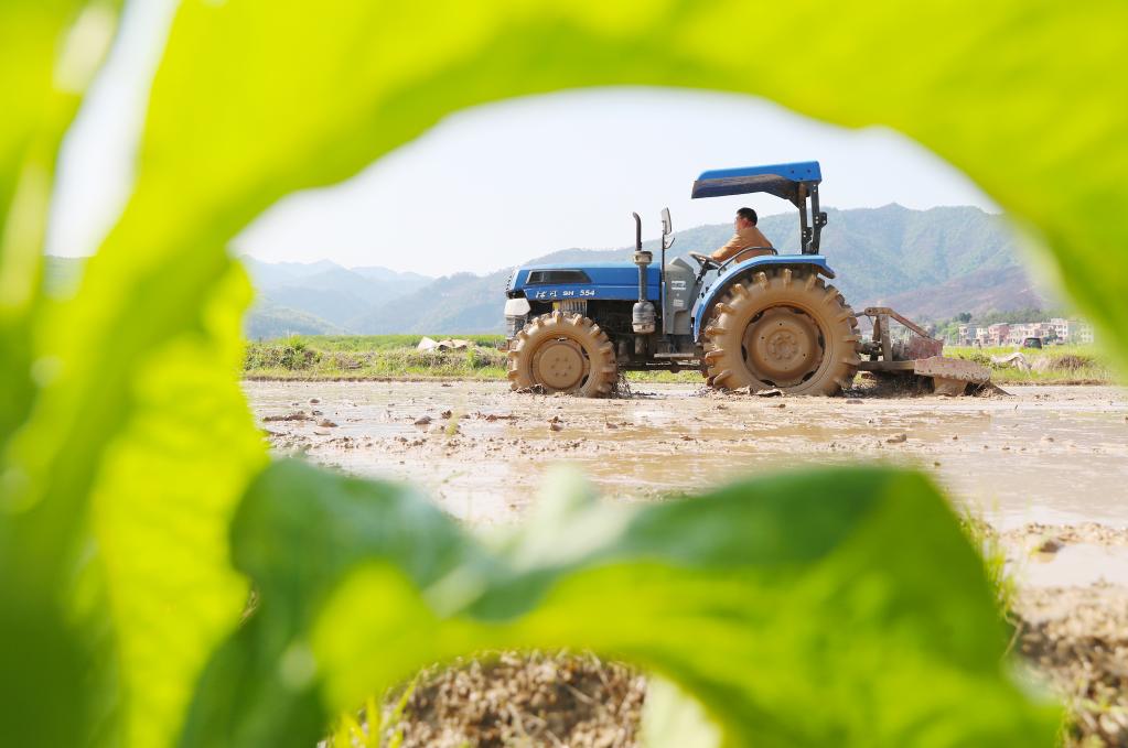 暮春時(shí)節農事忙