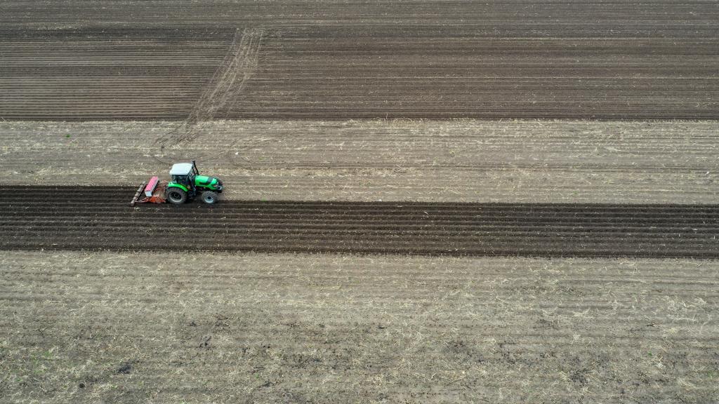 吉林：玉米已播計劃面積逾六成