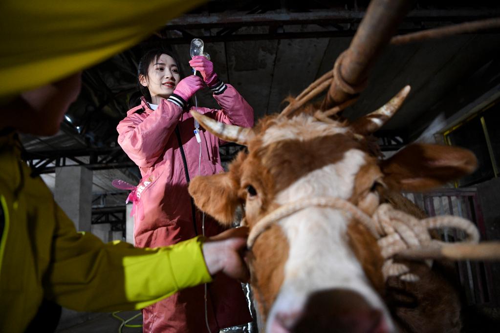 鏡觀(guān)中國·新華社國內新聞?wù)掌恢芫x