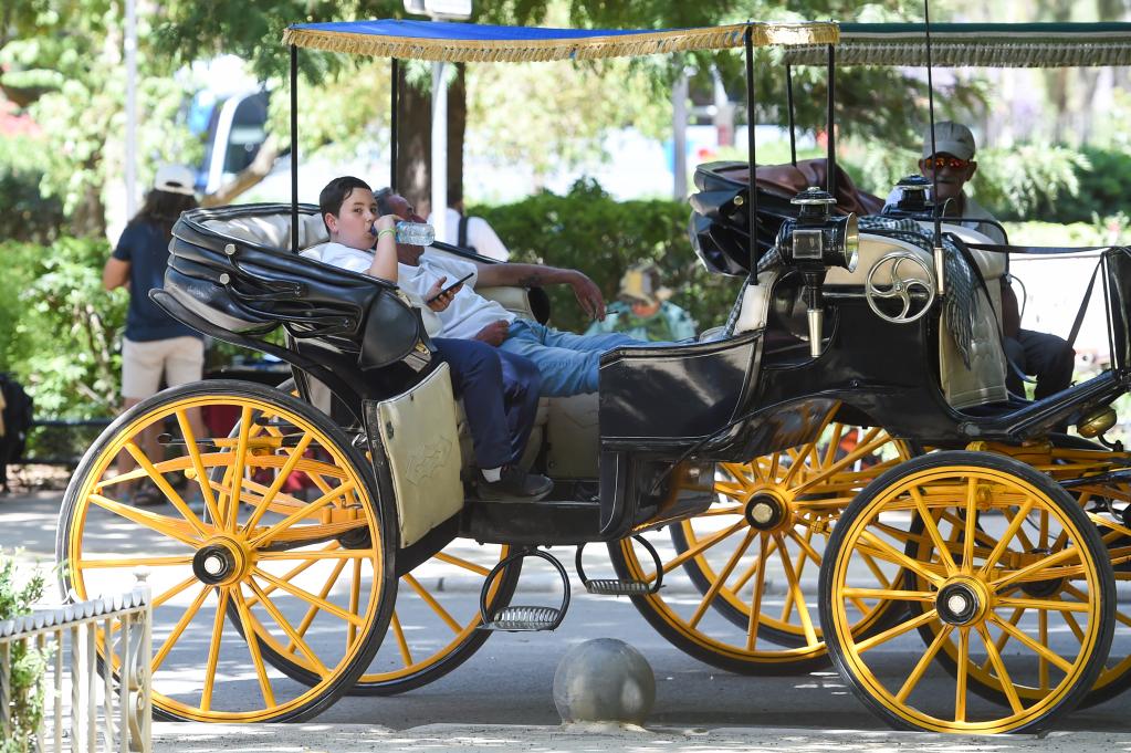 西班牙:高溫與干旱