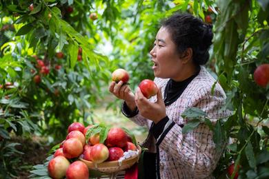 殘疾人創(chuàng )業(yè)新生活:拄雙拐做電商直播的陜西姑娘