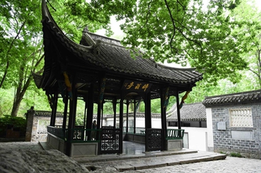 當博物館的“風(fēng)景”照進(jìn)現實(shí)