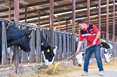 新華全媒+·追著(zhù)花兒看新疆|新疆伊犁:全產(chǎn)業(yè)鏈布局賦能奶業(yè)振興