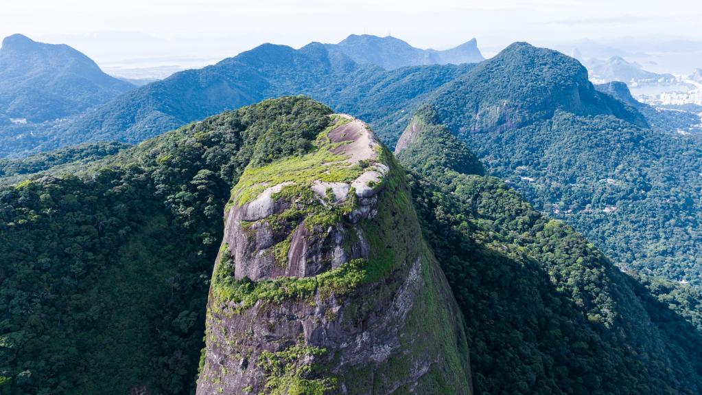 探訪(fǎng)巴西蒂茹卡國家公園